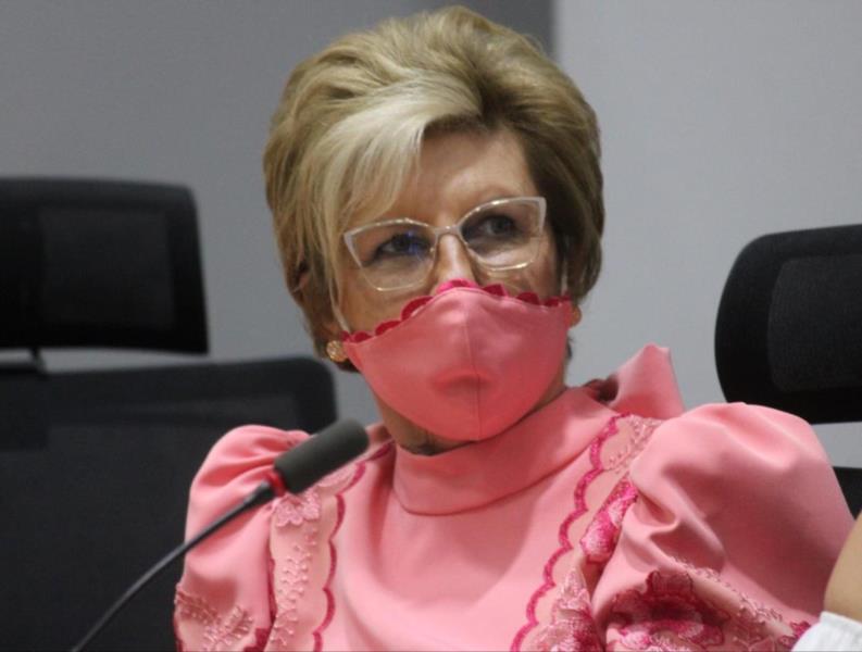 Helena Hermany altera estrutura do Comitê de Enfrentamento à pandemia