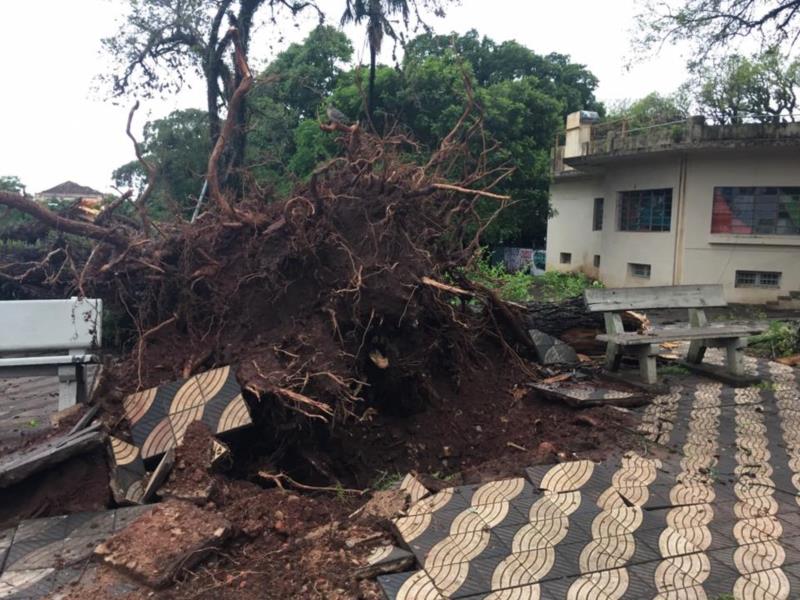 Cachoeira do Sul tem cerca de 30 casas destelhadas