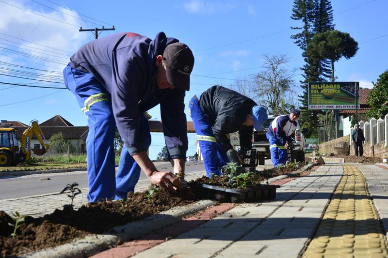 Prefeitura registra furto de orquídeas no Acesso Grasel