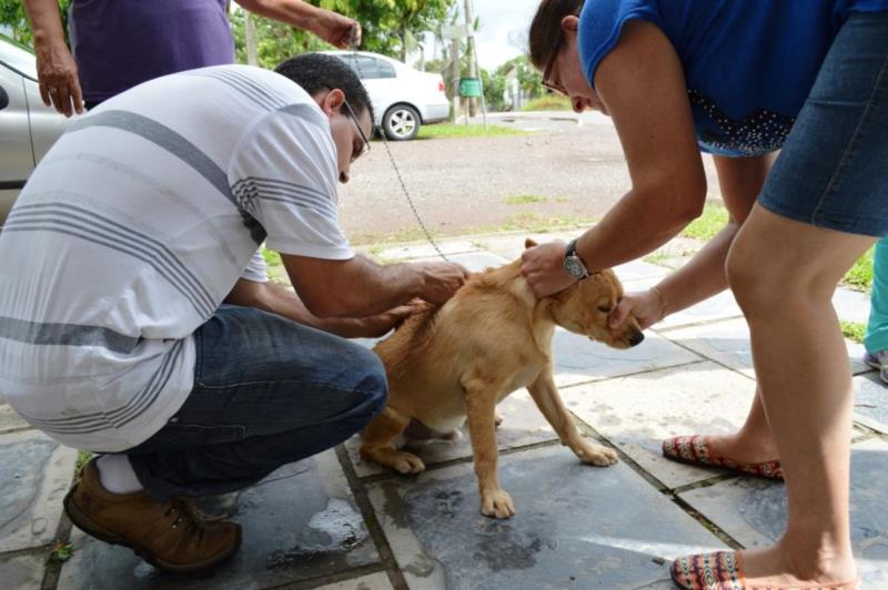 Vacina para cães e gatos será ofertada a partir de segunda-feira