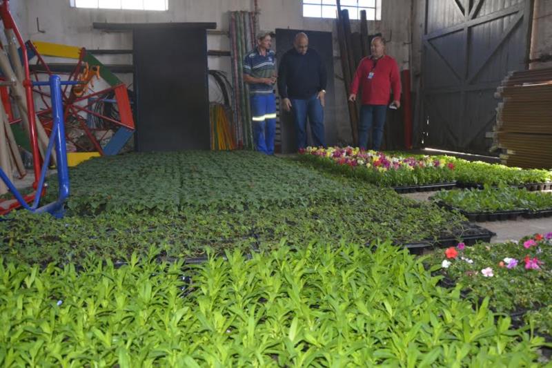 10 mil mudas de flores vão ser plantadas em Santa Cruz