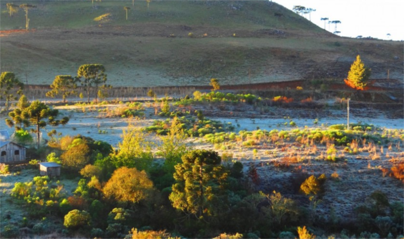 Massa de ar frio derruba temperaturas no Estado