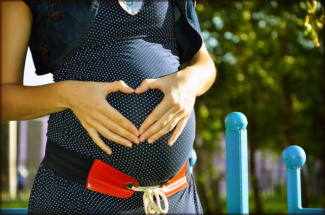 Gestantes do Bolsa Família devem passar a receber repelentes em dezembro