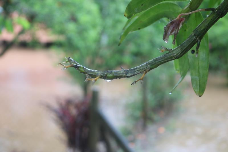 Previsão é de pouca chuva nesta semana do Rio Grande do Sul