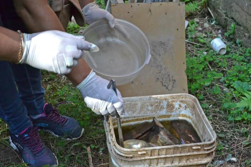 Campanha contra o aedes continua