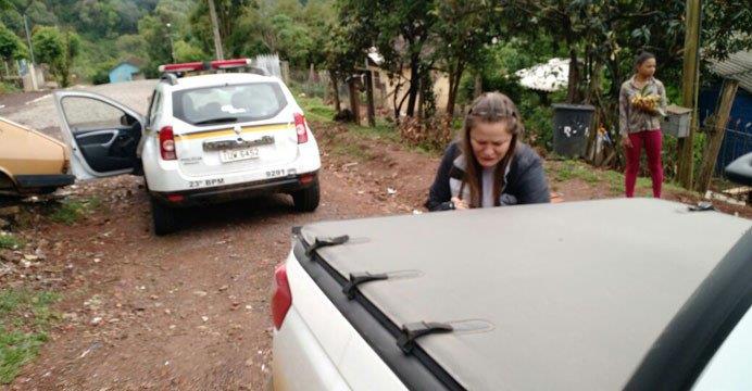 Cães vítimas de maus-tratos são apreendidos em Sobradinho