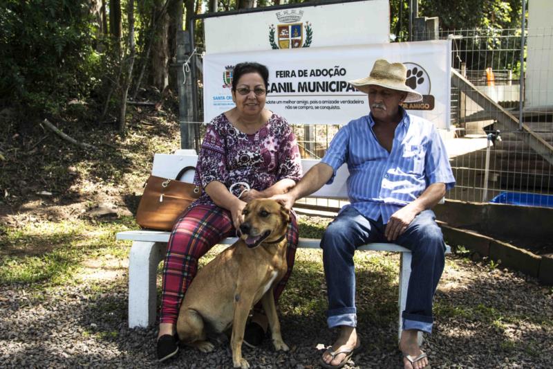 Feira de Adoção bate recorde e quinze cães encontram um novo lar