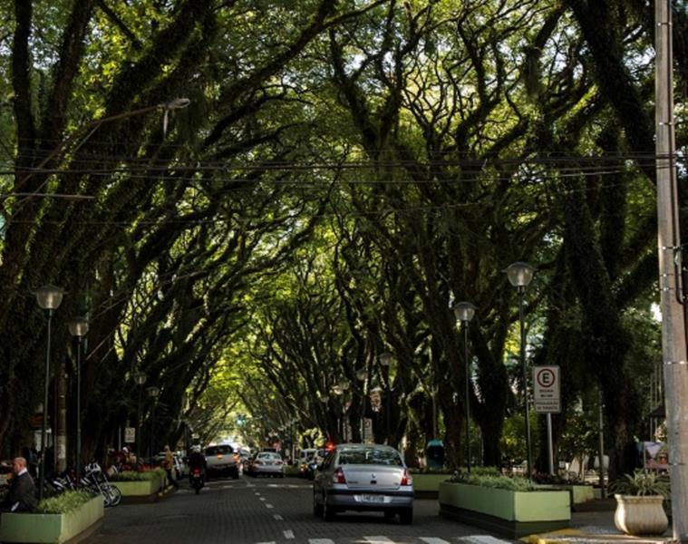 Prefeitura apresentará projeto que prevê revitalização do Túnel Verde da Floriano