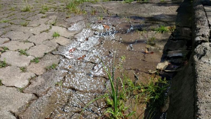 Moradores reclamam de vazamento de água potável em rua de Santa Cruz