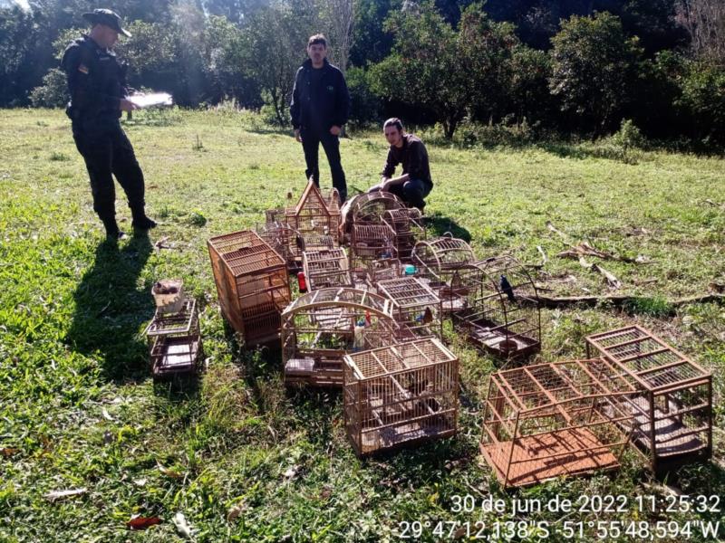 Pássaros silvestres e galos indianos são resgatados pela Polícia Ambiental