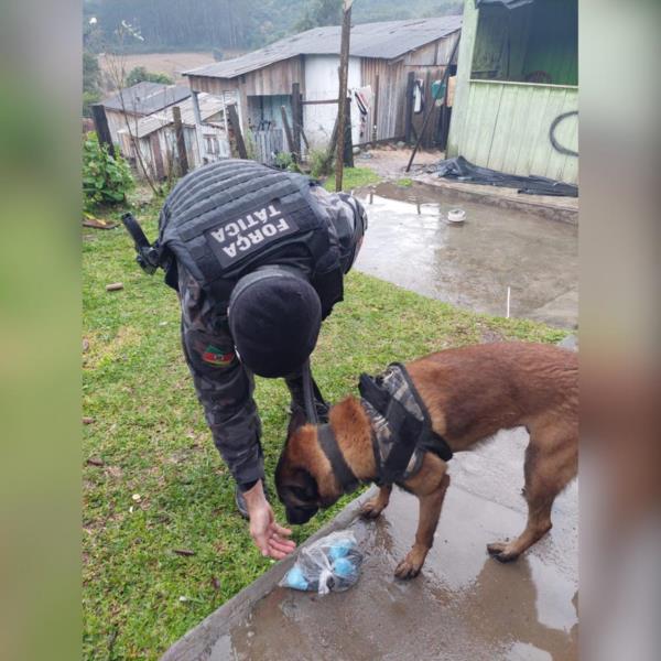 Operação da BM e da Polícia Civil prende três homens em Boqueirão do Leão