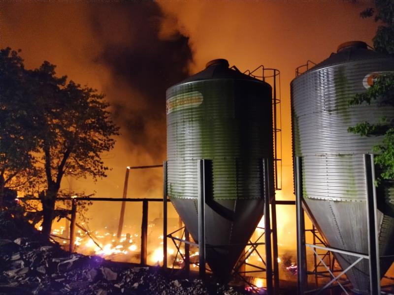 Cerca de 10 mil aves morrem após incêndio em aviário no Vale do Taquari