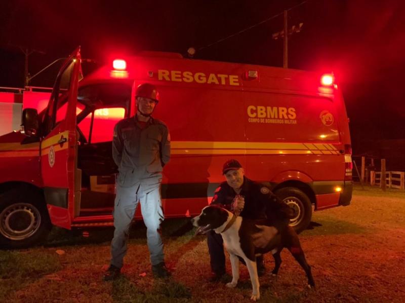 Cachorro abandonado e acorrentado em árvore é resgatado pelo Corpo de Bombeiros