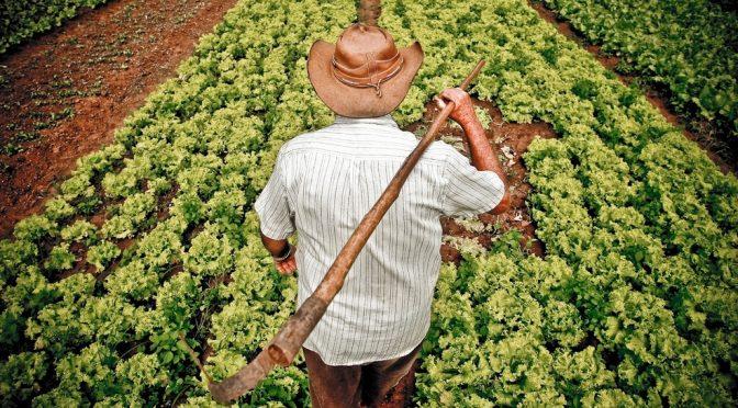 Deputado destaca relevância de programa agrícola: “valor importante e substancial”