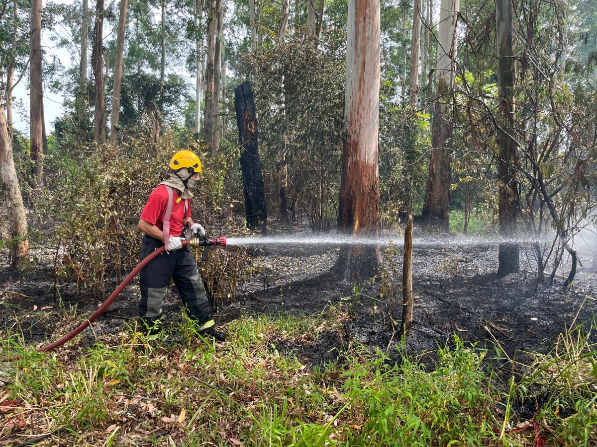 Corpo de Bombeiros atende incêndio em vegetação no Bairro Santa Vitória