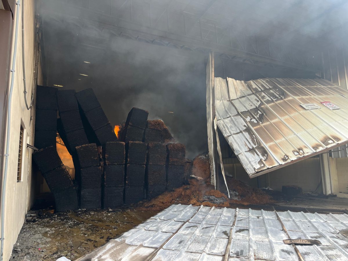 Incêndio em empresa de tabaco de Vera Cruz não deixa vítimas fatais 