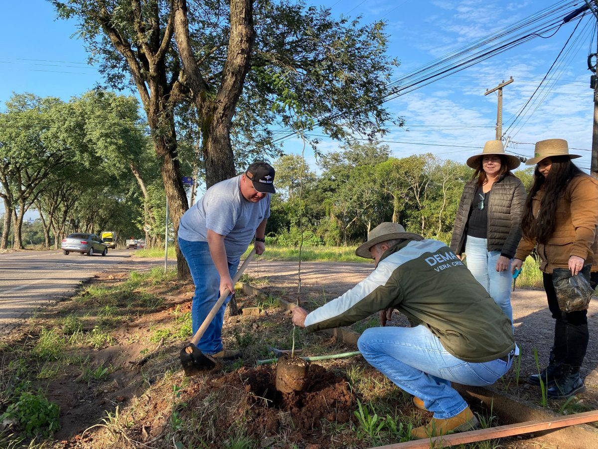 Entenda como Vera Cruz tratou o replantio de árvores que formam o Túnel Verde da Rua Ernesto Wild