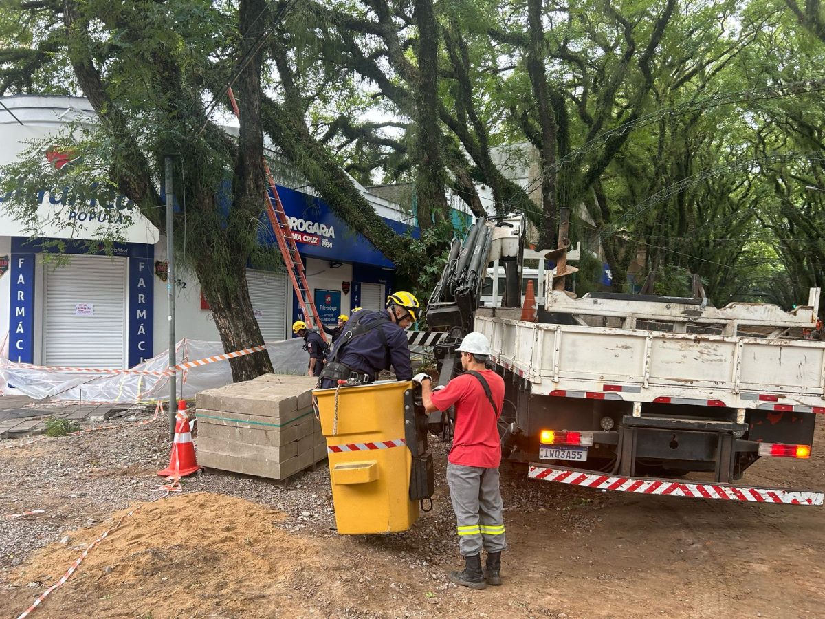 Equipes começam trabalho de retirada de tipuana que cedeu na Floriano e atingiu uma farmácia