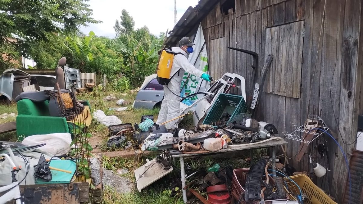 Vera Cruz tem alto risco de transmissão de dengue