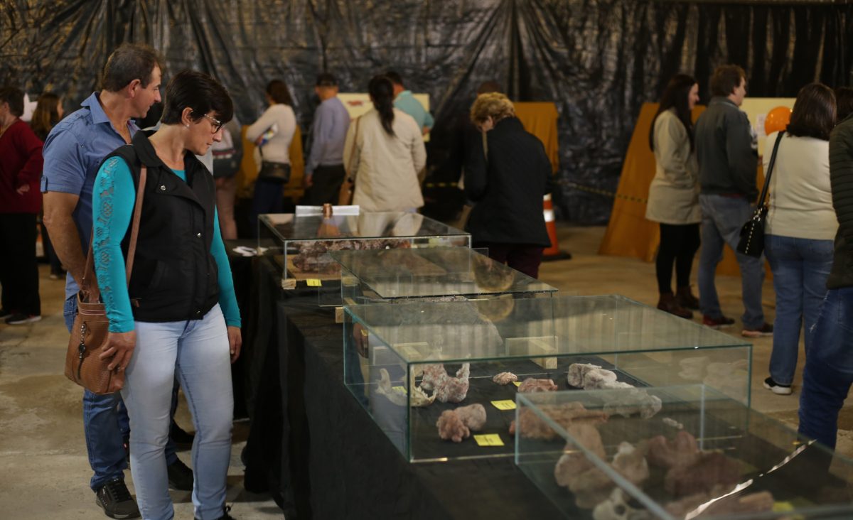 Expocande 2025 terá a maior exposição de Paleontologia já realizada