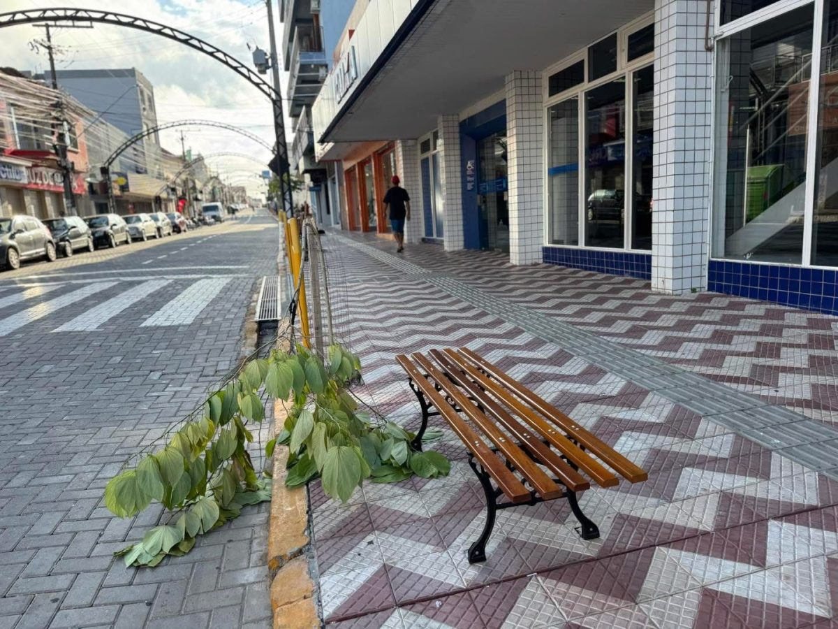 Duas árvores são vandalizadas no Centro de Rio Pardo