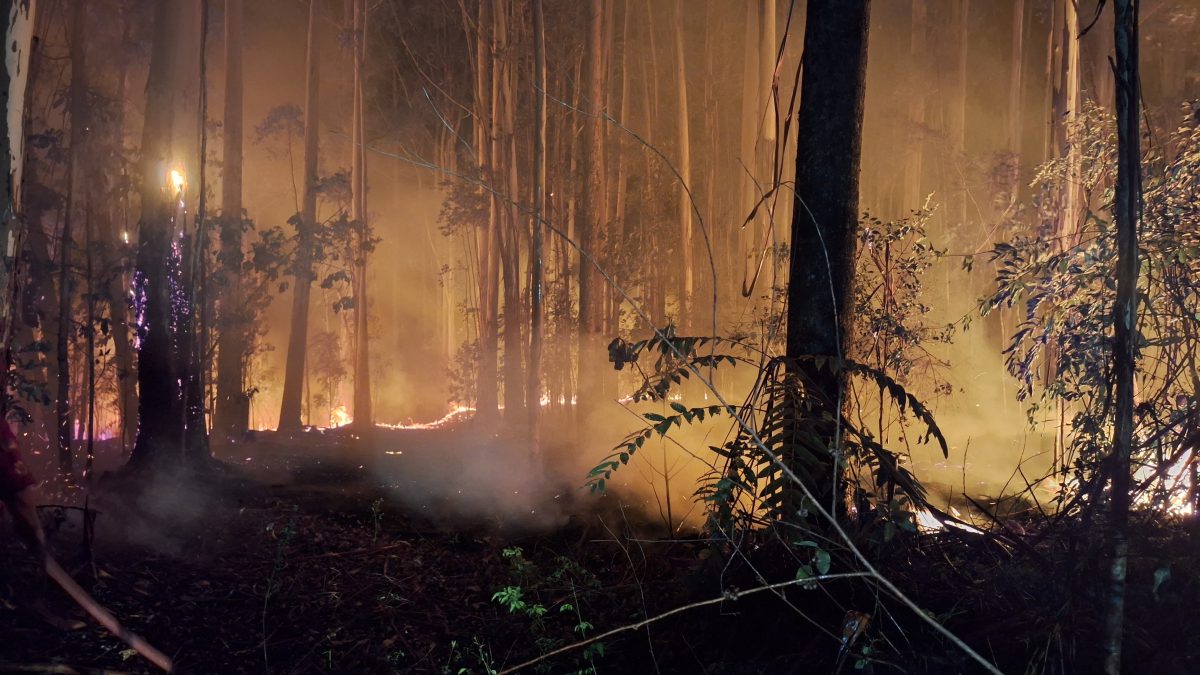 Mais de 8 mil litros de água são utilizados para combater incêndio que atingiu mata de eucaliptos em Sobradinho 