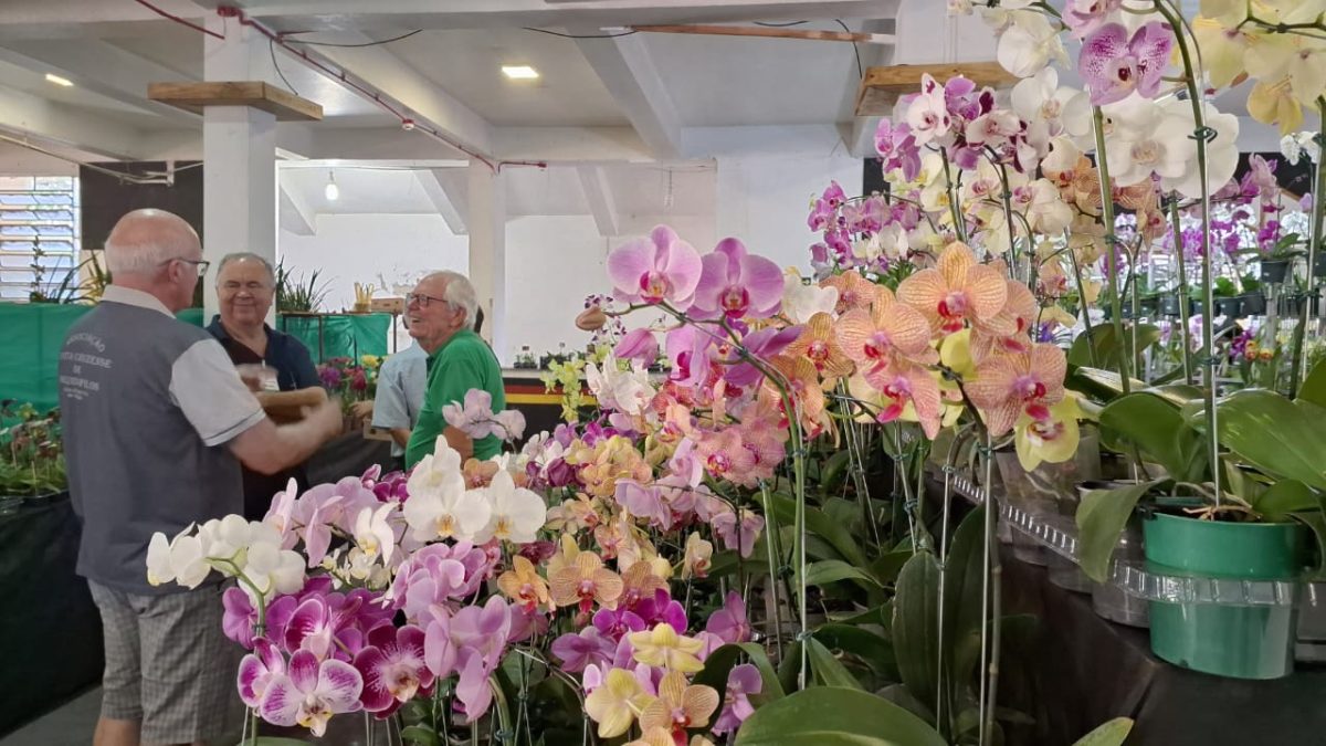 Mais de 60 expositores participaram da 18ª Exposição Regional de Orquídeas em Santa Cruz