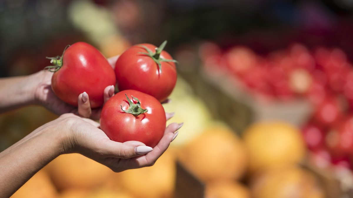 Preço do tomate sobe 80% em um mês nos supermercados de Santa Cruz; entenda os motivos