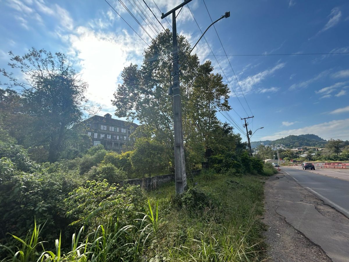 “Vamos preservar a memória e a natureza”; diz presidente do Sicredi sobre futuro da área do antigo sanatório