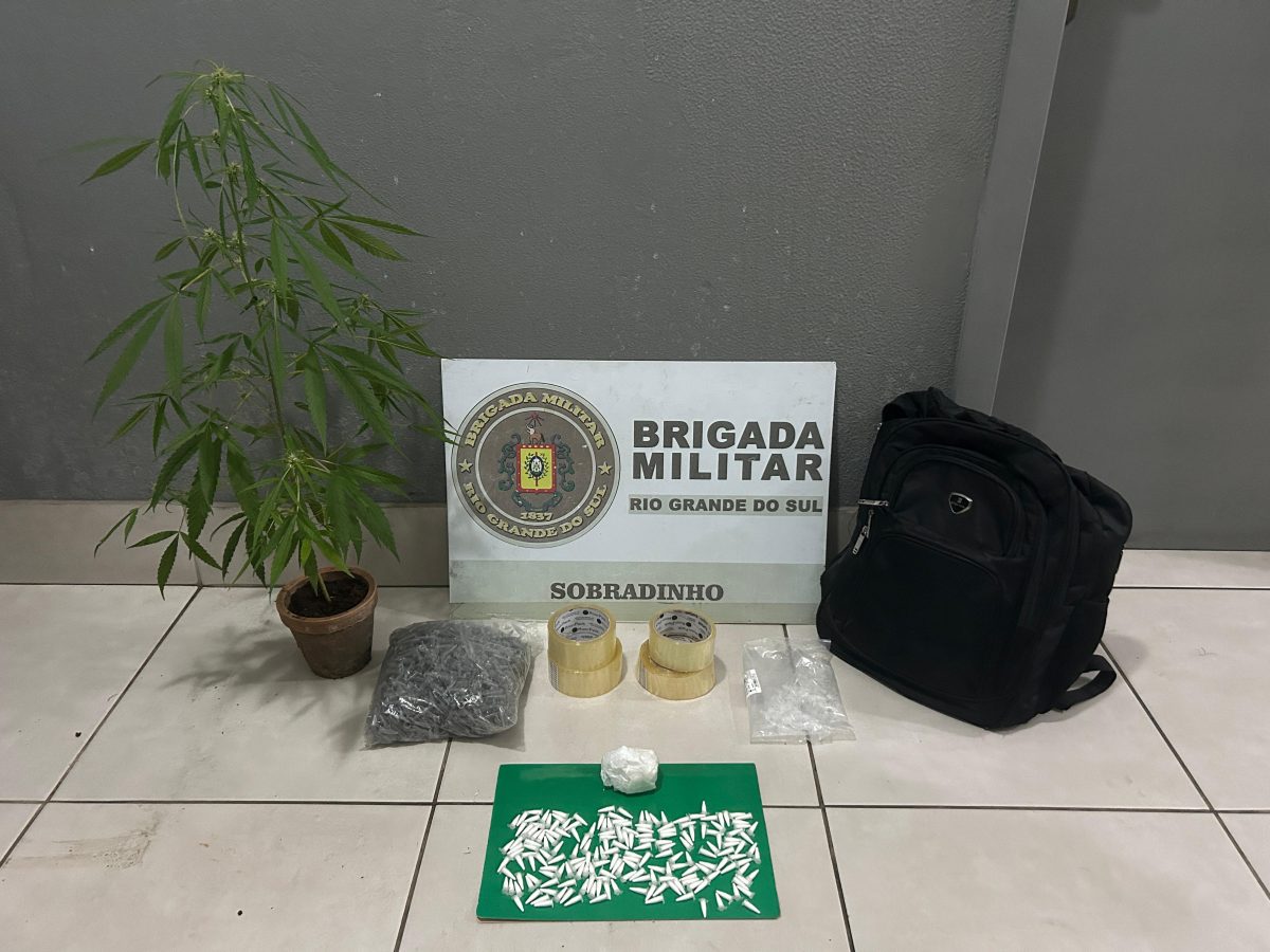 Homem que cultivava maconha no pátio foge durante abordagem da BM