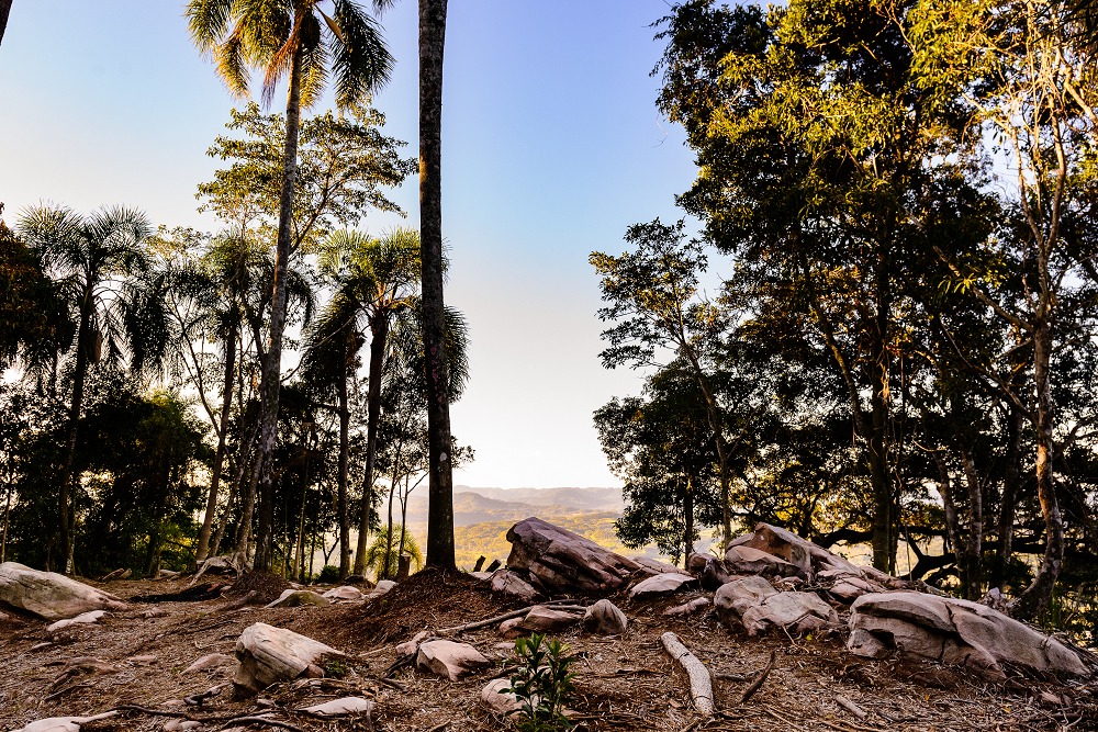 Passeio turístico Rota do Chimarrão Dominical chega em sua terceira edição
