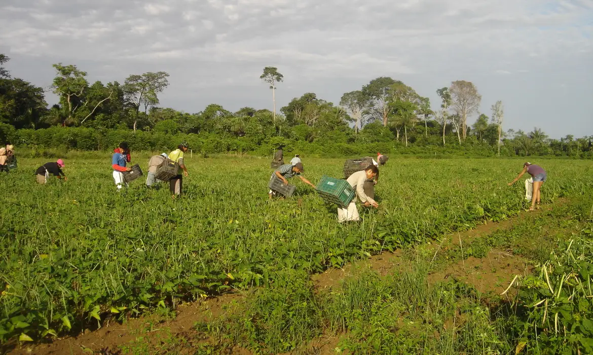 Produtores afetados por estiagem no RS podem renegociar crédito rural