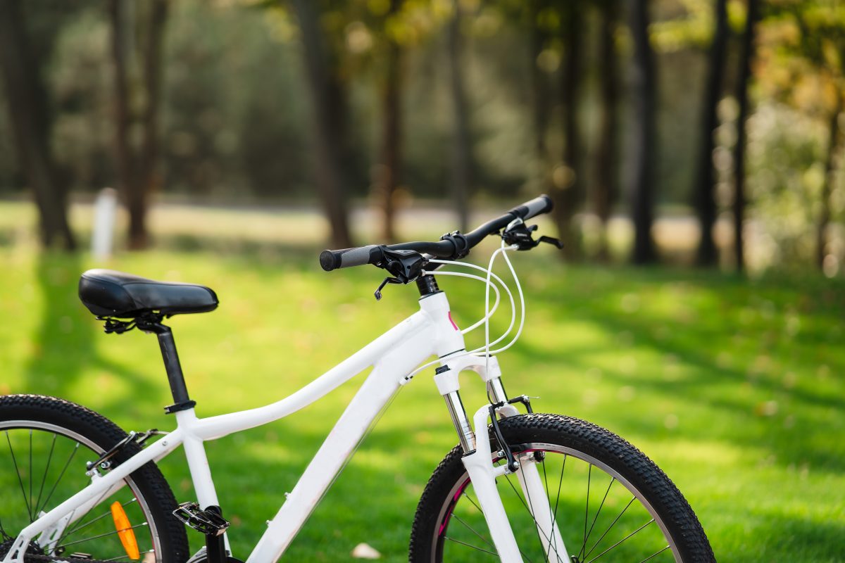 Bicicletas comunitárias: conheça a proposta apresentada na Câmara de Vereadores