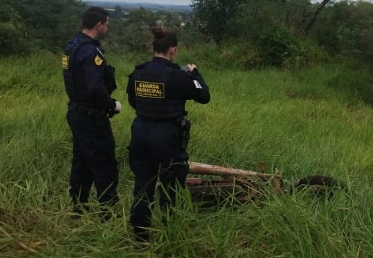 Moto furtada no Santa Vitória é recuperada pela Guarda Municipal