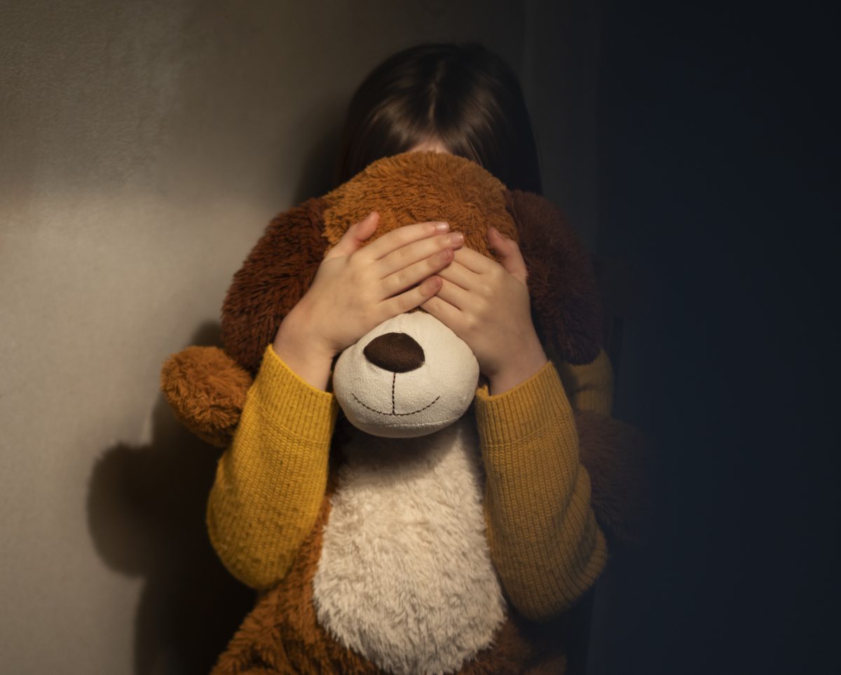 Vereadores criam Frente Parlamentar de Combate à Pedofilia e ao Abuso Sexual Infanto-juvenil